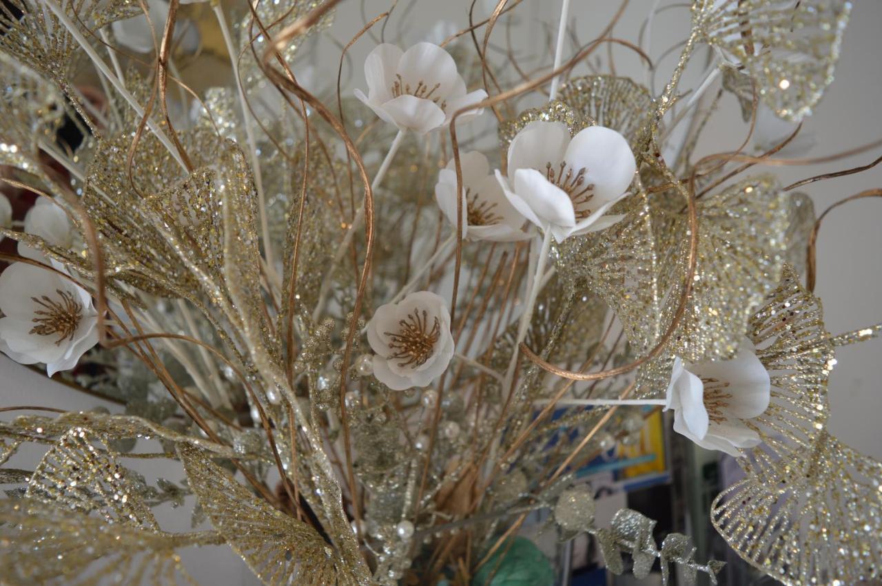 קטנזארו Bed And Breakfast Villa Tota מראה חיצוני תמונה