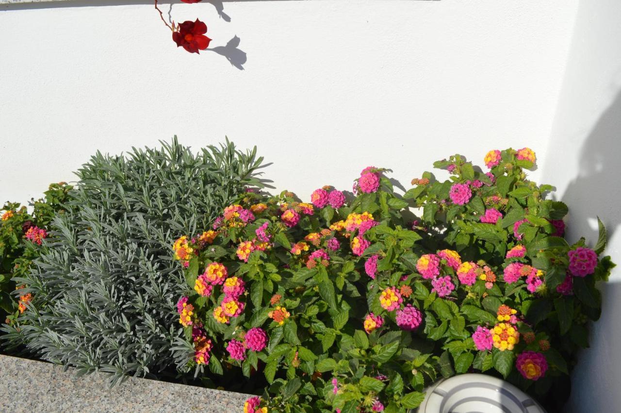 קטנזארו Bed And Breakfast Villa Tota מראה חיצוני תמונה