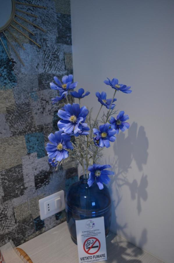 קטנזארו Bed And Breakfast Villa Tota מראה חיצוני תמונה